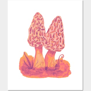 Fascinating Morel Mushroom - Morchella Esculenta Posters and Art